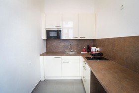Vienna Stay Apartments Tabor 1020