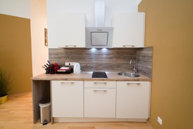 Vienna Stay Apartments Tabor 1020