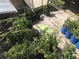 Wiener Gäste Zimmer