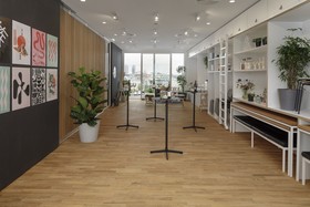 Zoku Vienna