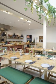 Zoku Vienna