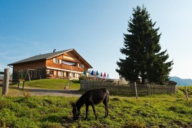 Ferienhaus Walserhus by A-Appartements