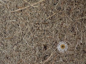 Valavier Aktivresort