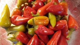 Alpenhotel Mittagspitze