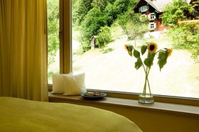 Hotel Alpenrose Ebnit