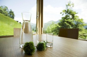 Hotel Alpenrose Ebnit