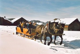Bauernhof Koess