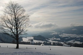 Hotel Gasthof Zum Löwen