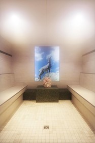 Bergkräuterhof Hotel Steinbock