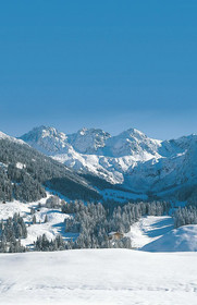 IFA Breitach Apartments