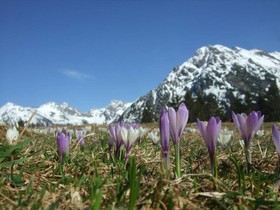 Tiptop Hotel Alpensonne