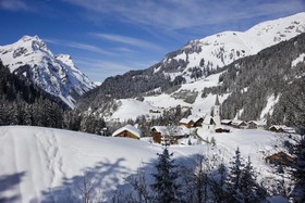 Apartments Bischof