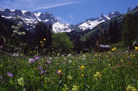 Montabella