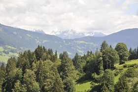 Montabella