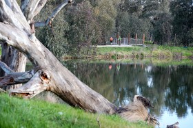 Mercure Albury