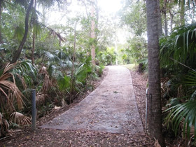 Swr Rainforest Retreat