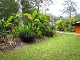 Swr Rainforest Retreat
