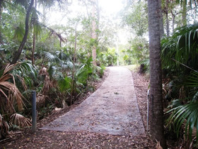 Swr Rainforest Retreat
