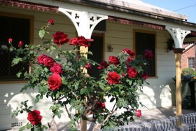 A Settler's Cottage
