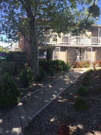 Bathurst Apartments