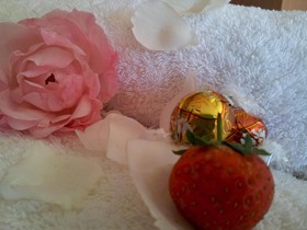 Bellbird Cottage B&B