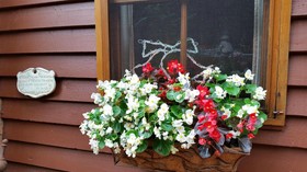 Bellbird Cottage B&B