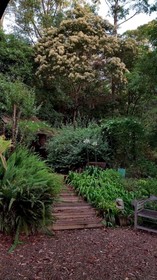 Bellbird Cottage B&B