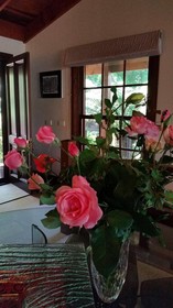 Bellbird Cottage B&B