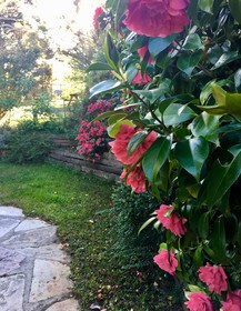 Crimson Villa