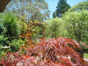 Crimson Villa