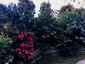 Crimson Villa