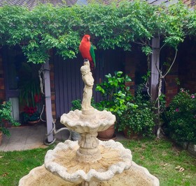 Crimson Villa