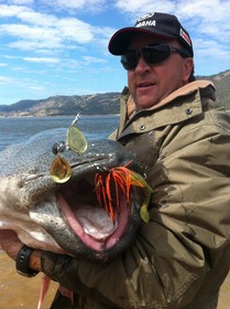 Reflections Burrinjuck Waters Holiday & Caravan Park