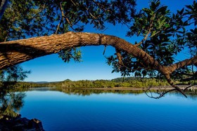 Reflections Ferry Reserve Holiday Park & Caravan Park
