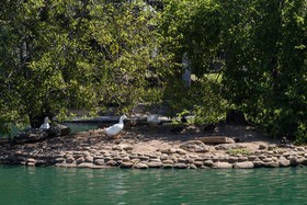 Crowne Plaza Sydney Burwood