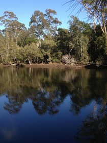 Jervis Bay Cabins & Camping