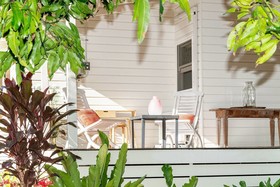Bellbird