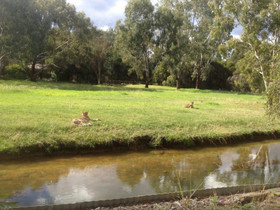 Billabong Camp at Taronga Western Plains Zoo