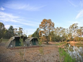 Billabong Camp at Taronga Western Plains Zoo