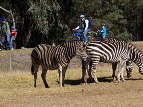 Zoofari Lodge at Taronga Western Plains Zoo Dubbo