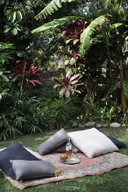 Haven Tropicana