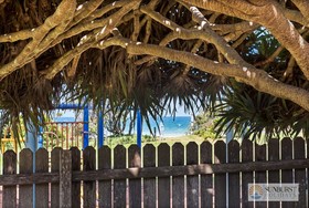 Pandanus on Emerald