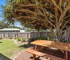 Pandanus on Emerald