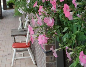 Bidgee Motor Inn