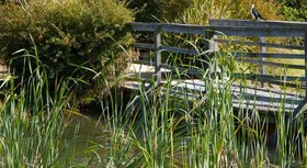 Potters Hotel & Brewery