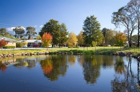 Potters Hotel & Brewery