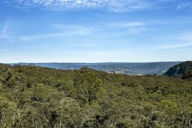 Narrow Neck Lodge