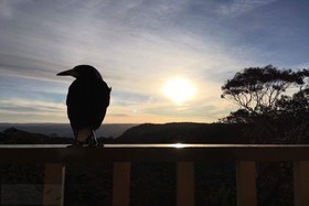 Narrow Neck Lodge