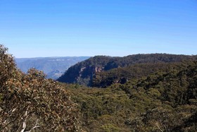 Narrow Neck Lodge