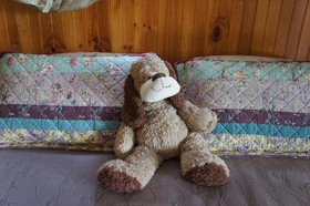 Kiama Bed & Breakfast